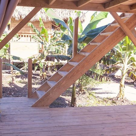 Samana Ecolodge El Limon Buitenkant foto