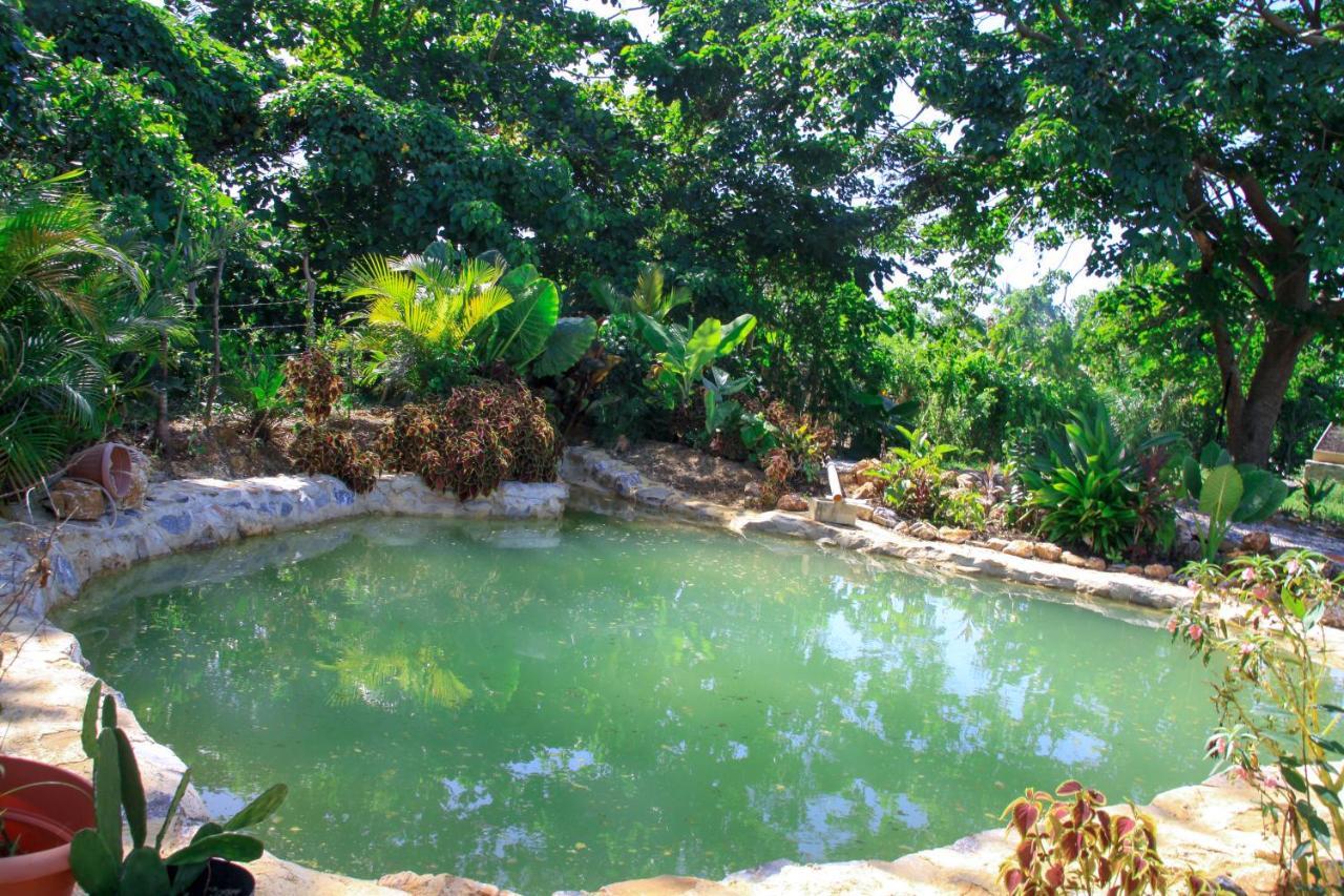 Samana Ecolodge El Limon Buitenkant foto