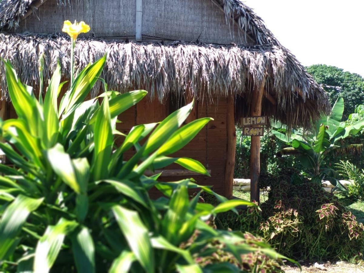 Samana Ecolodge El Limon Buitenkant foto