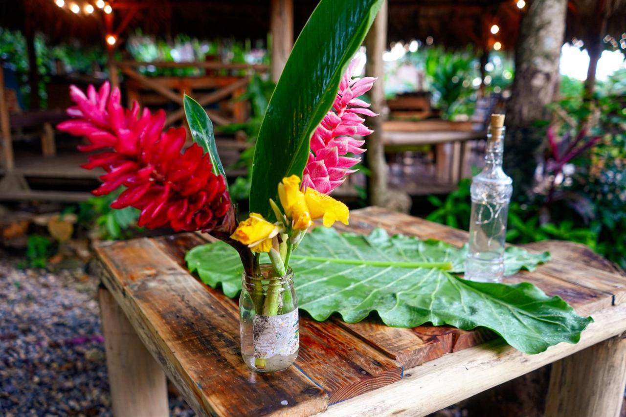 Samana Ecolodge El Limon Buitenkant foto