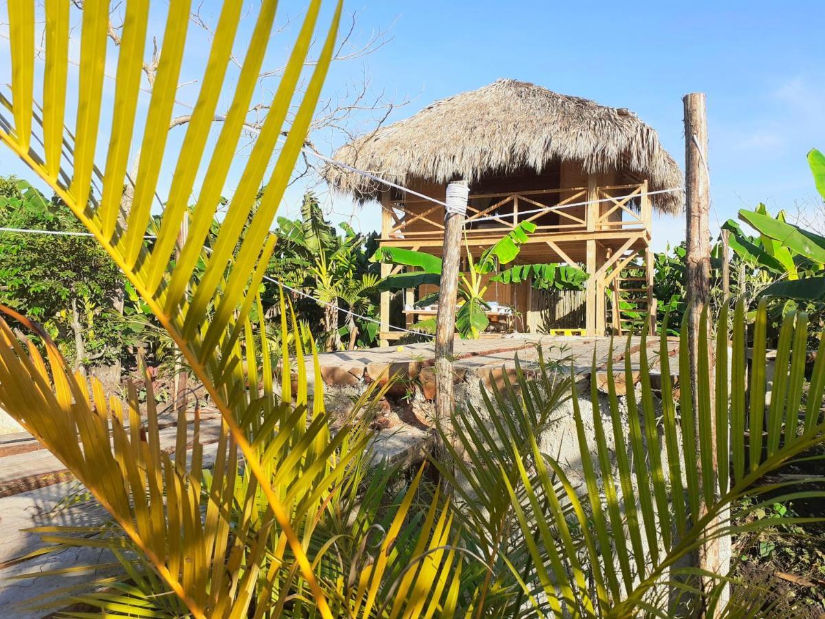 Samana Ecolodge El Limon Buitenkant foto