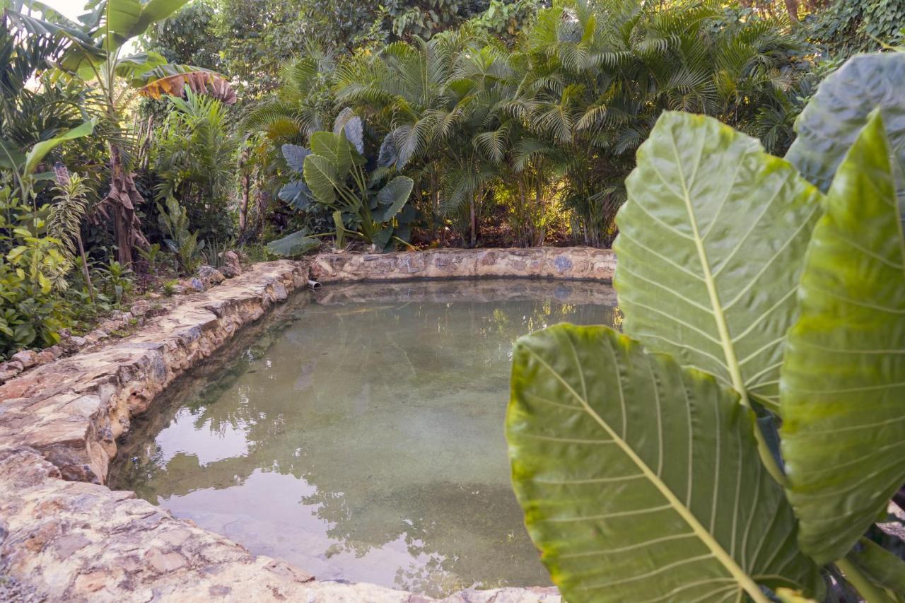 Samana Ecolodge El Limon Buitenkant foto
